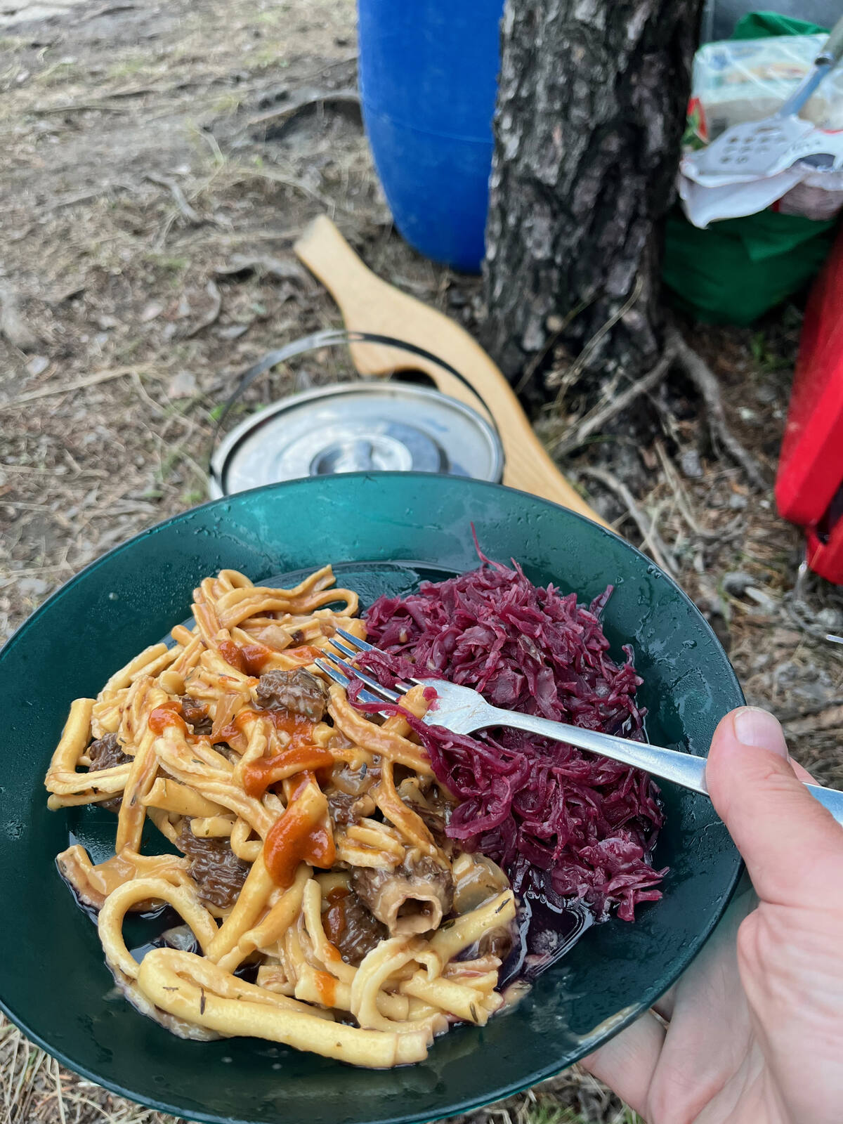 A camp plate of egg noodles with braised beef and red cabbage, held above a campsite with a blue barrel behind